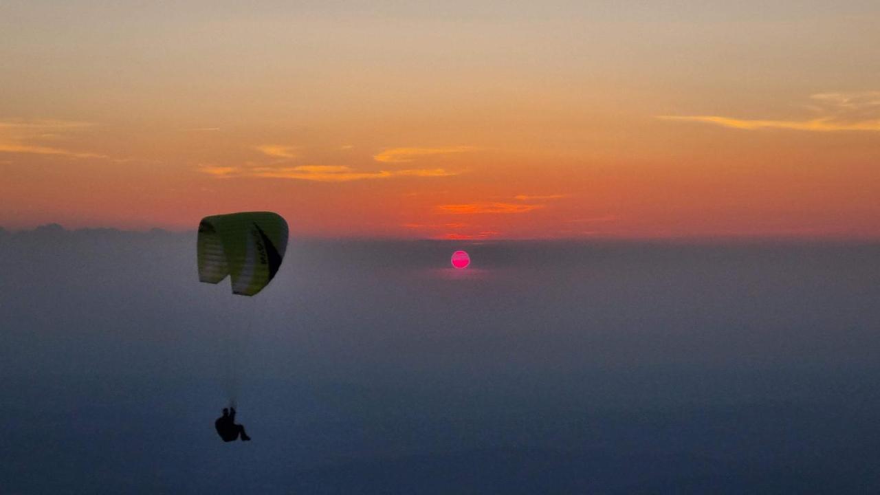 La Belle Histoire Gite Ventoux เบดวง ภายนอก รูปภาพ